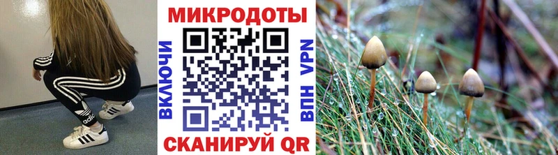 Галлюциногенные грибы Psilocybine cubensis  Геленджик 